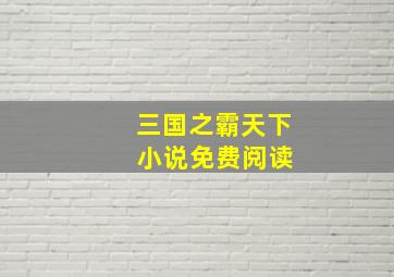 三国之霸天下 小说免费阅读